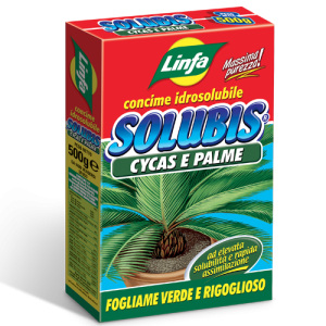 Solubis cycas e palme 500 gr