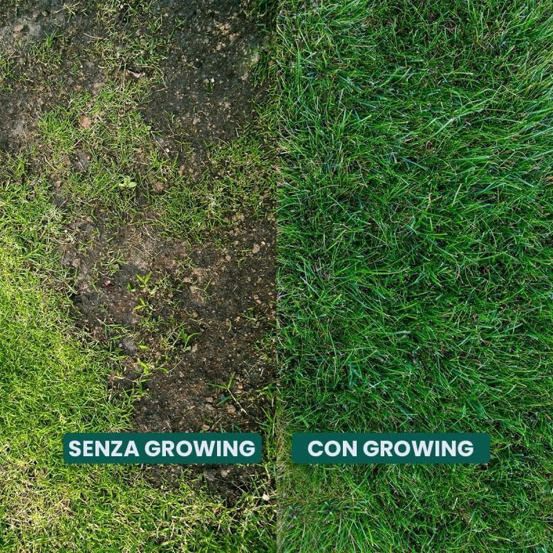 concime-growing-4-kg