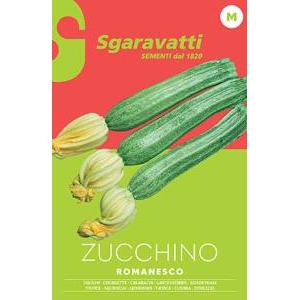 Zucchino romanesco