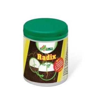 Radix 80 gr