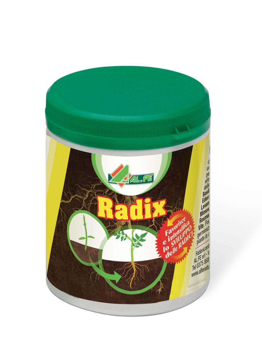 radix-80-gr