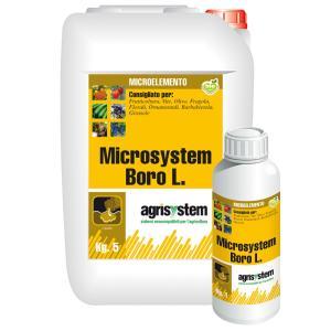 Microsystem boro l. 1 kg