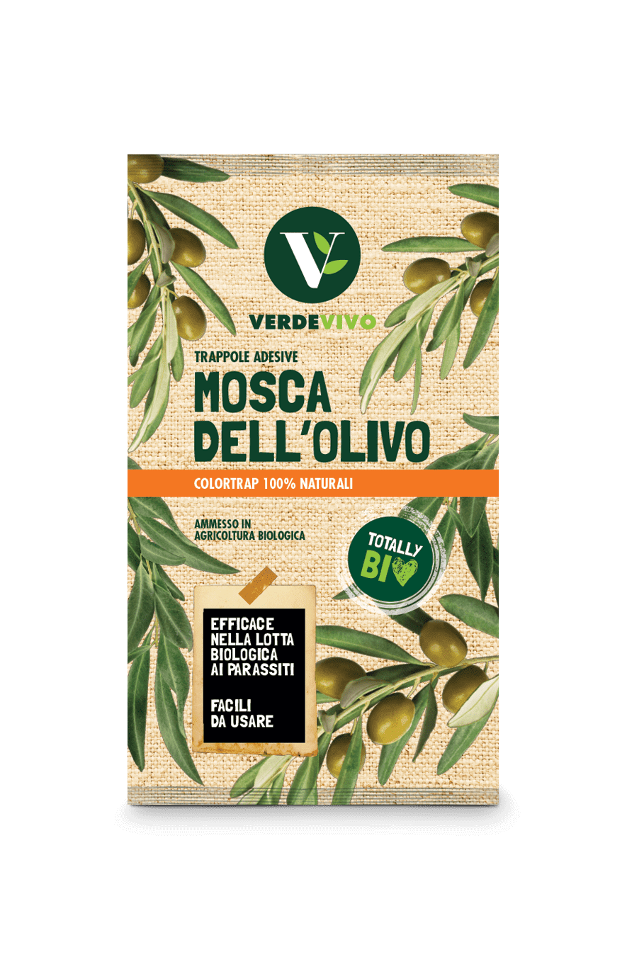 mosca-dell'olivo-3-pannelli-+-3-feromoni