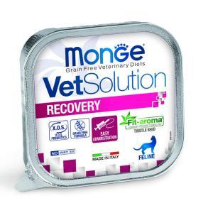 Vetsolution cat recovery 100 gr