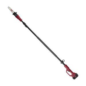 Potatore con asta a batteria pe04at