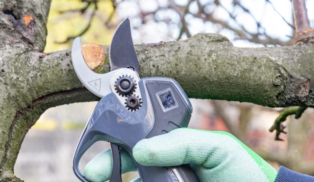 ausonia work it 30 plus – forbice elettrica per potatura - foto 3