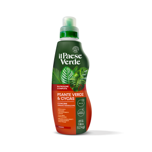 Piante verdi & cycas 1 lt