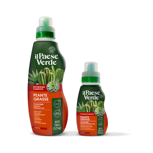 Piante grasse 330 ml