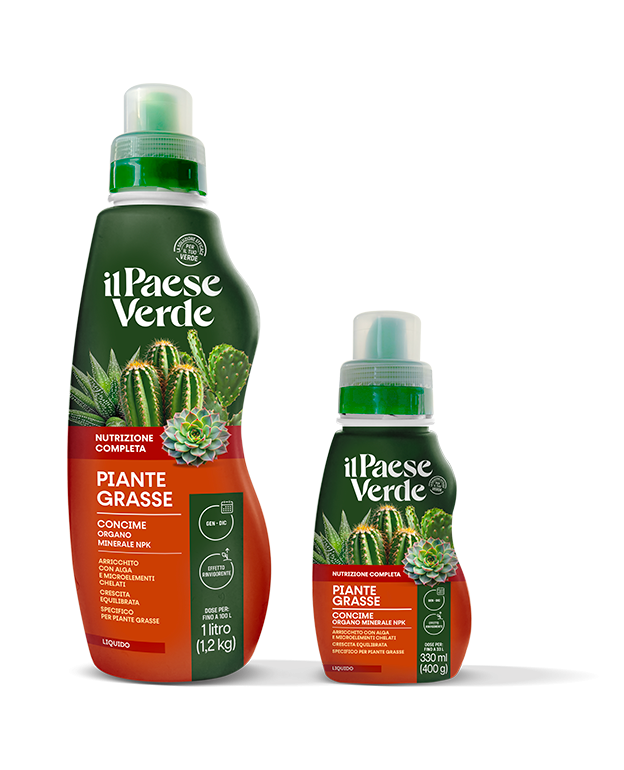 piante-grasse-330-ml