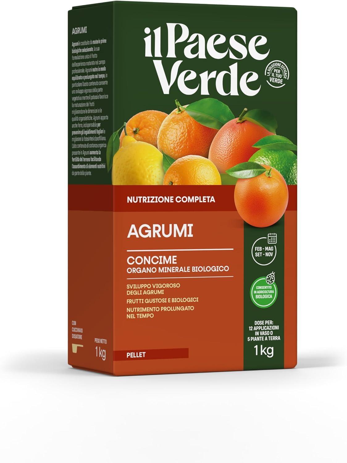 agrumi-1-kg