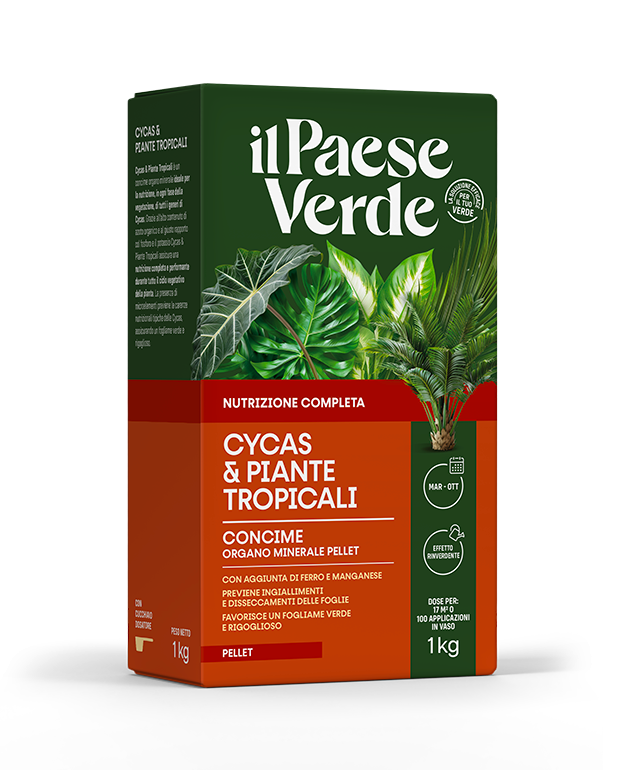 cycas-&-piante-tropicali-1-kg