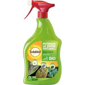 Sapone nero spray 1 lt