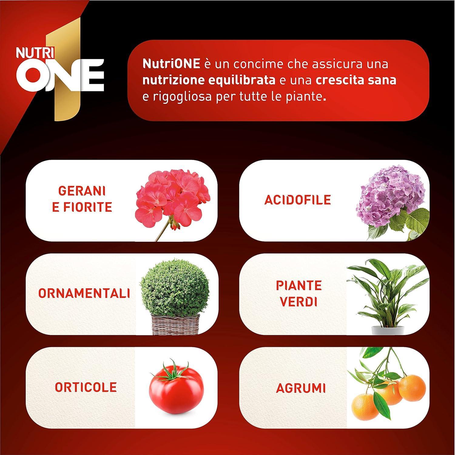 nutri-one-3-kg