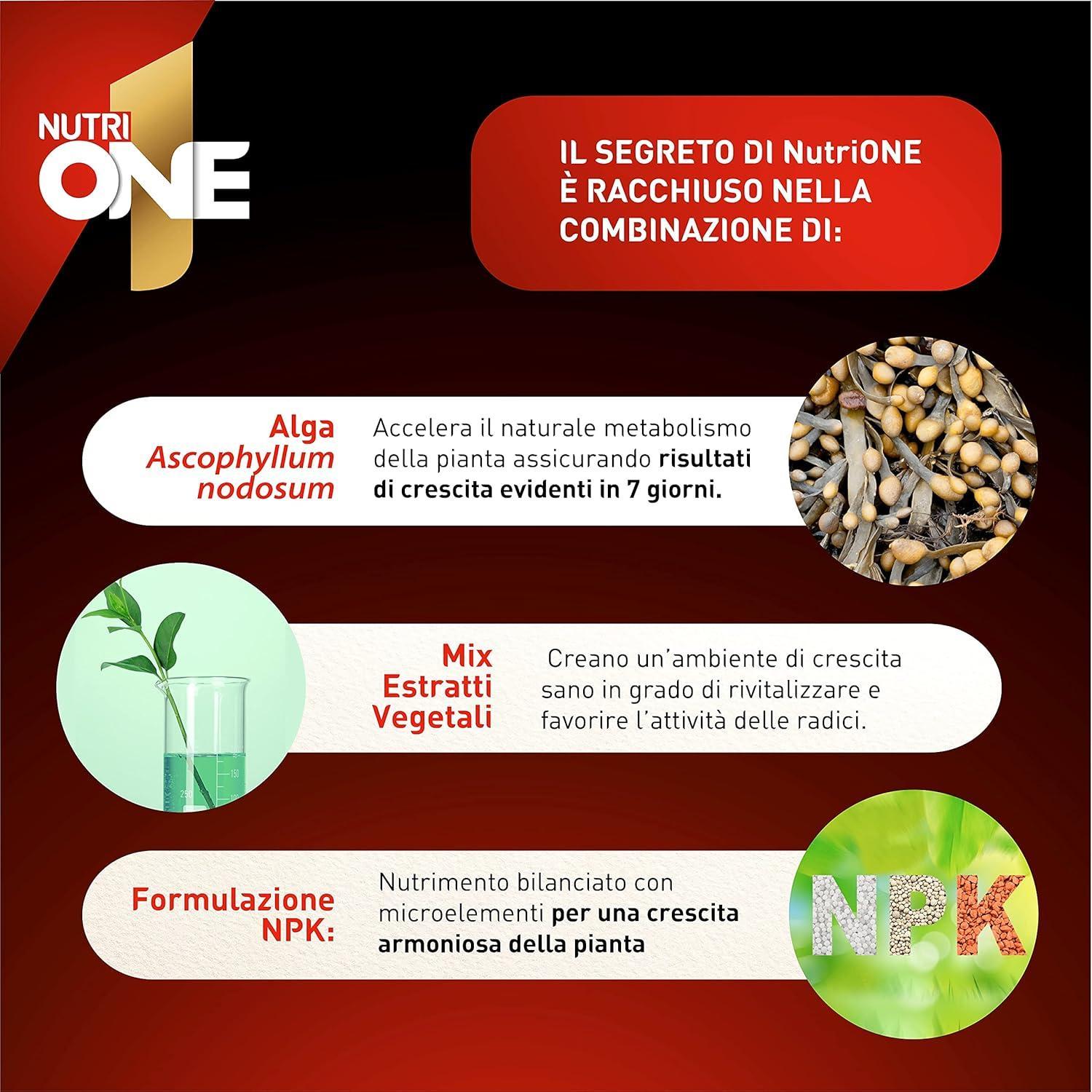 nutri-one-3-kg