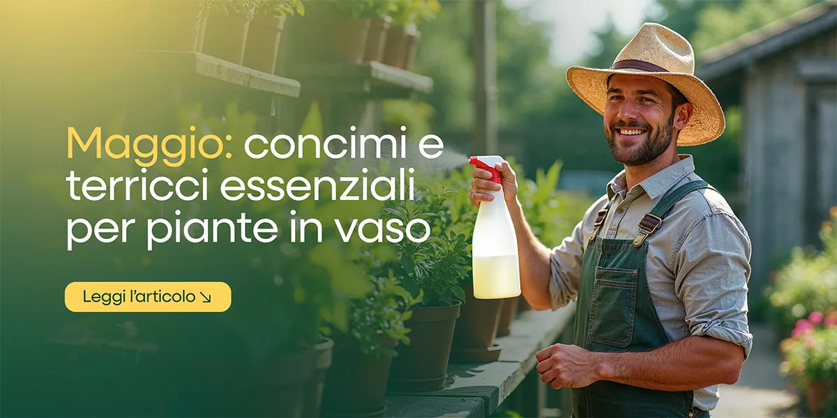Concimi e terricci per piante in vaso a maggio