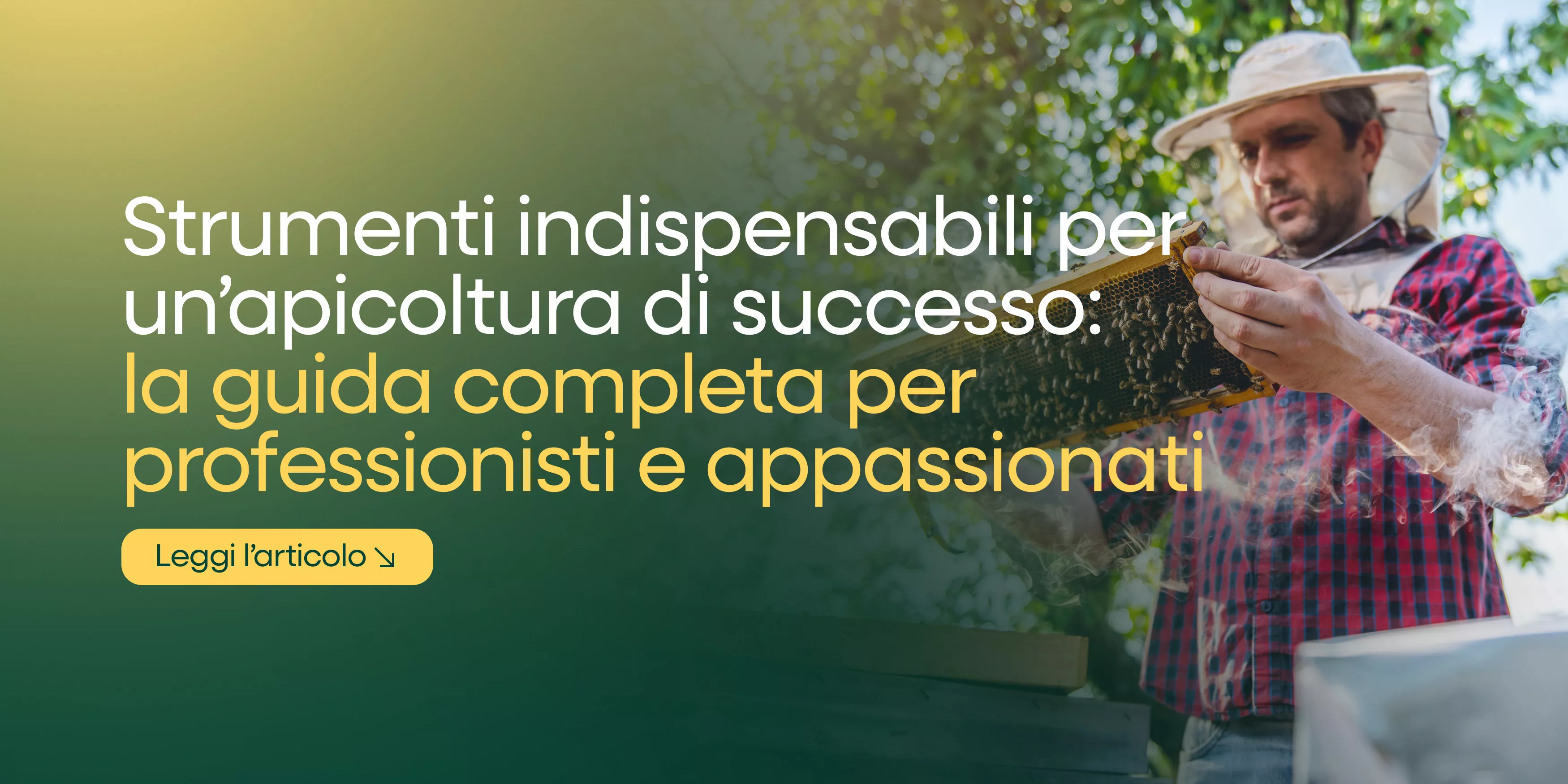 Attrezzature essenziali per un miele di alta qualità: la guida per apicoltori professionali e hobbisti