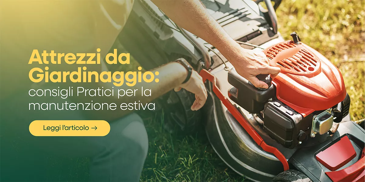 Manutenzione attrezzi da giardino: guida estiva 🔧