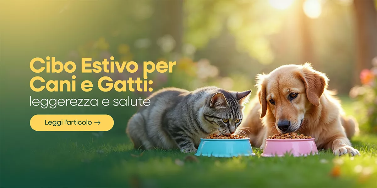 🌞 Cibo per animali domestici: come affrontare l’estate con una dieta equilibrata