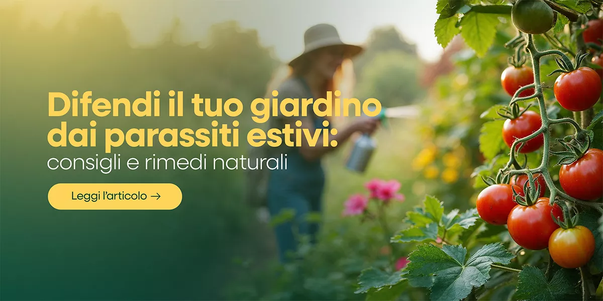 Estate e parassiti: come difendere le piante in modo sicuro ed efficace