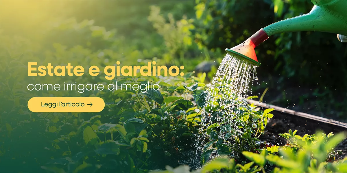 Irrigazione giardino estate: tecniche e soluzioni per risparmiare acqua