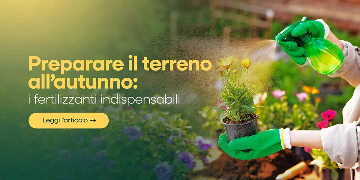 Fertilizzanti autunnali: quali usare a fine estate per un terreno sano