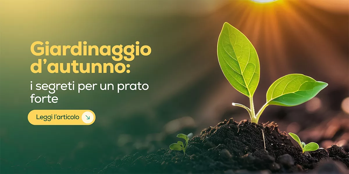 Giardinaggio in autunno: concimazione e aerazione del prato per l’inverno
