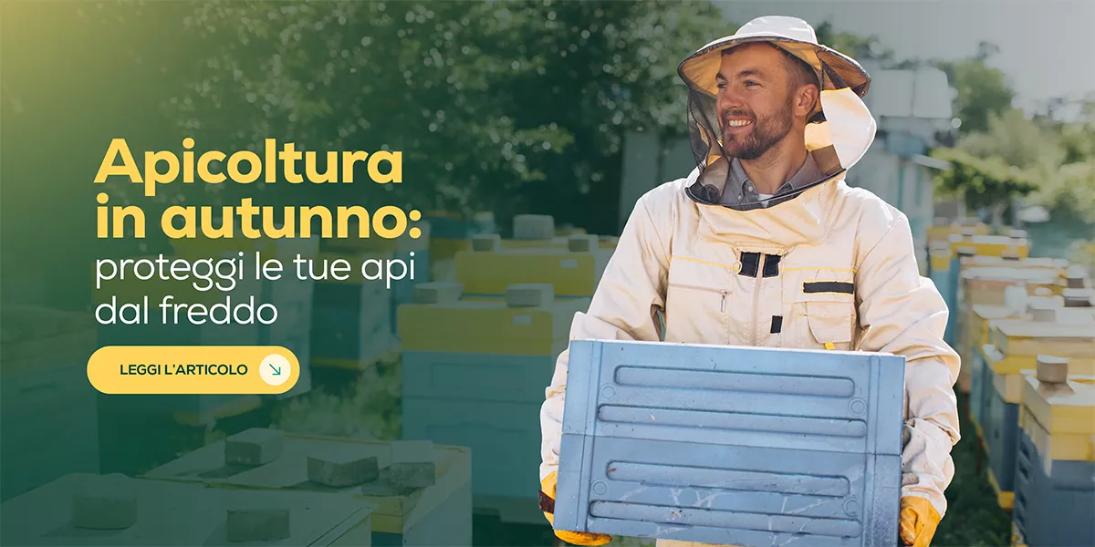 Apicoltura autunnale: come preparare l’alveare all’inverno
