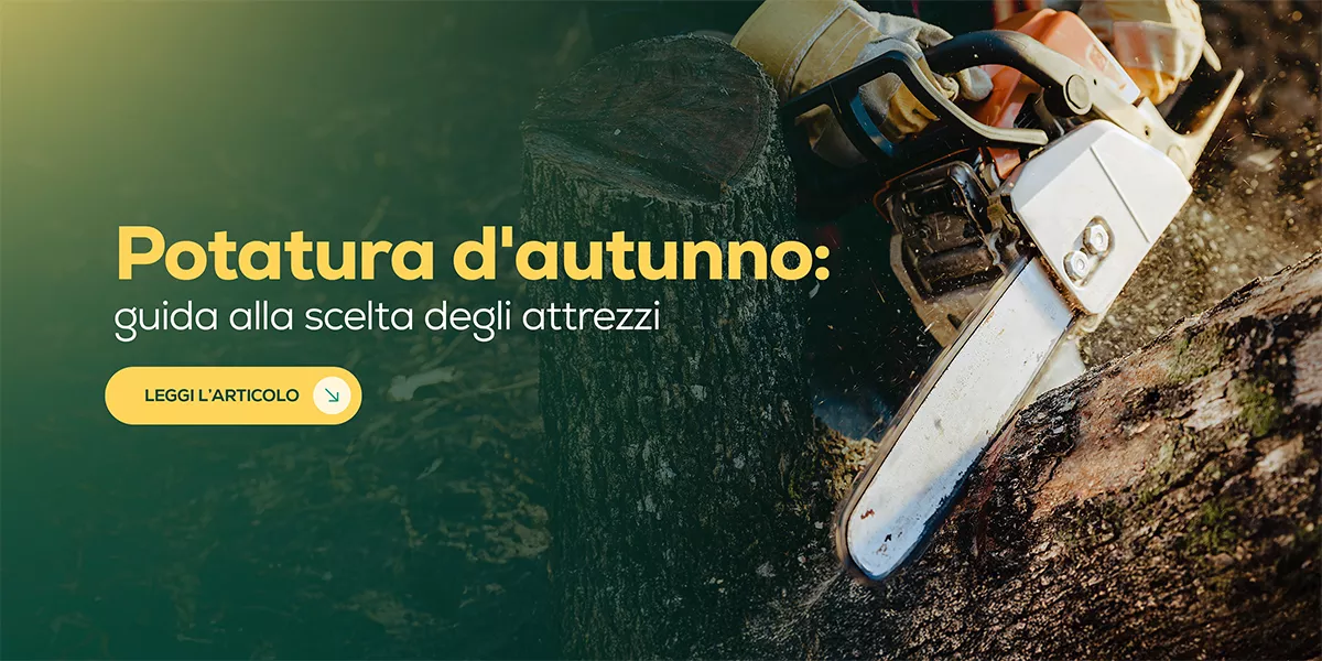 Motoseghe e potatori: guida alla scelta per la potatura autunnale