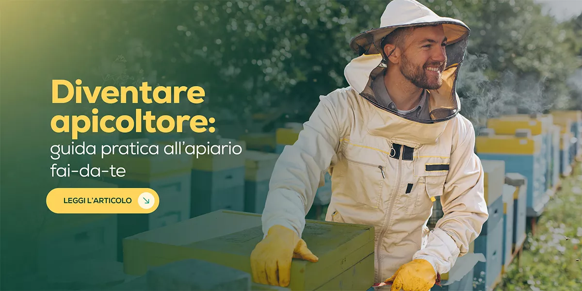 Come iniziare un apiario domestico: la guida completa per aspiranti apicoltori