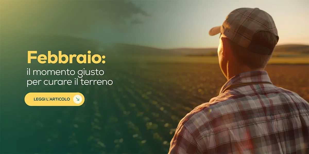 Febbraio: cosa fare ora per avere un terreno fertile in primavera
